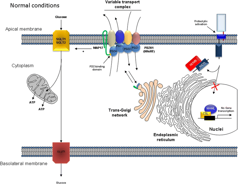 Fig. 3