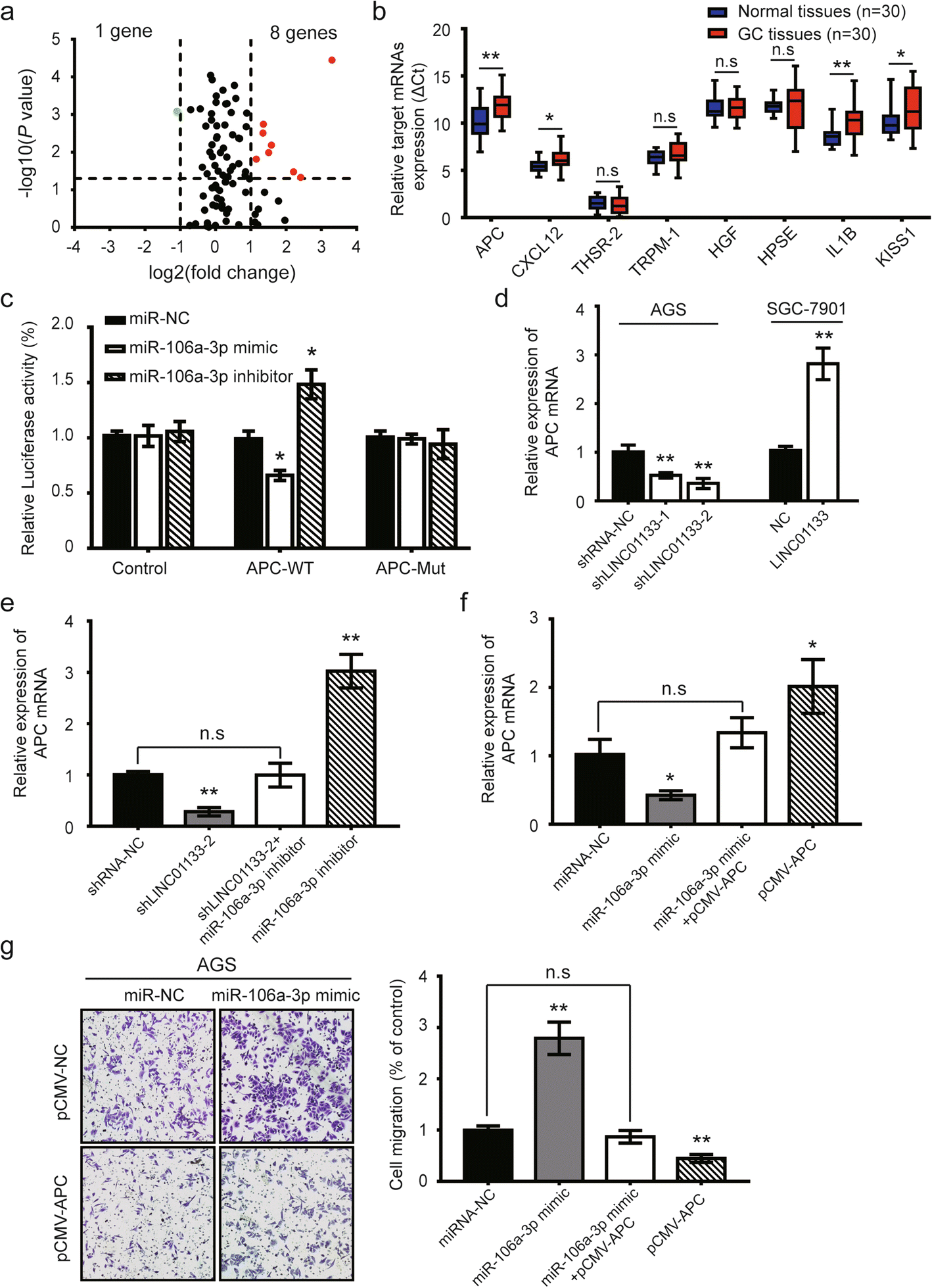 Fig. 5