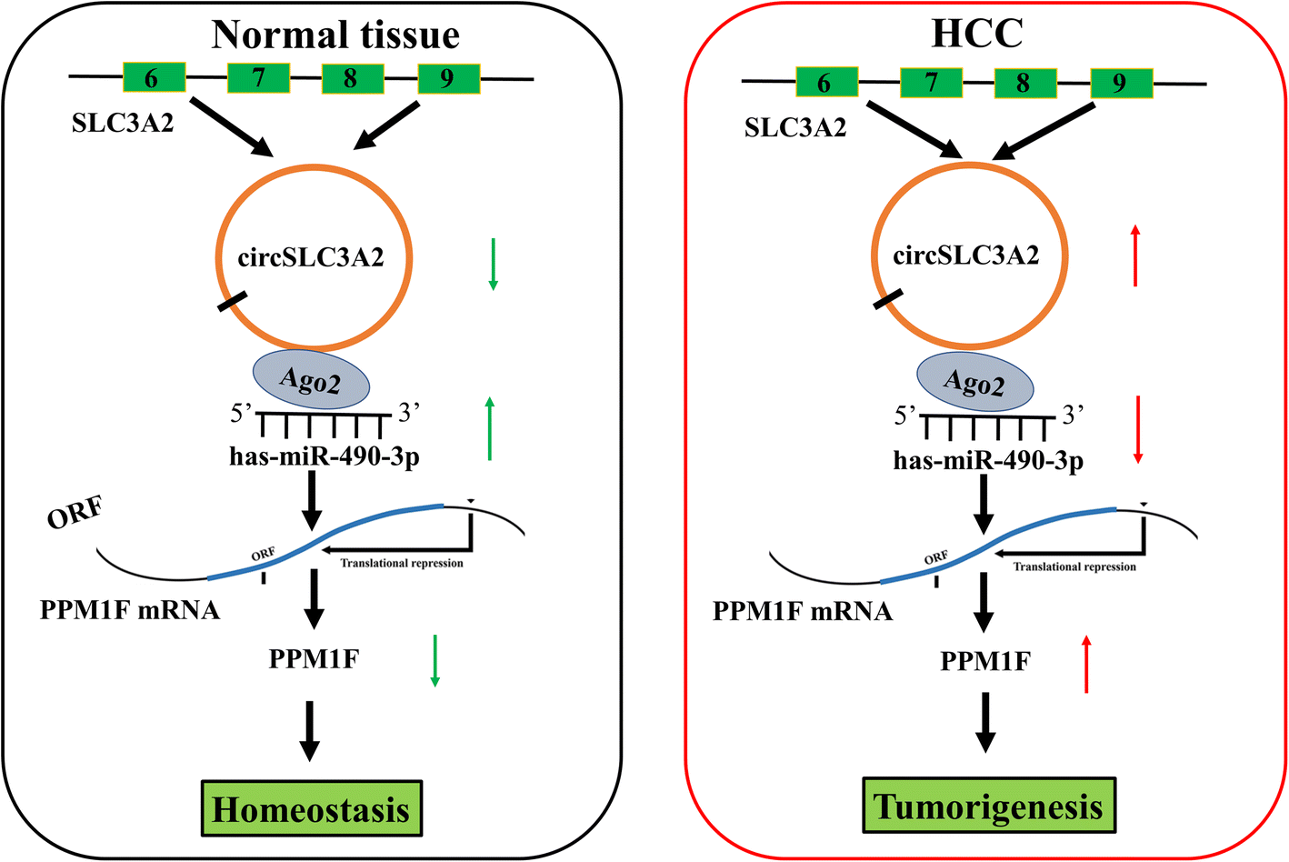 Fig. 10