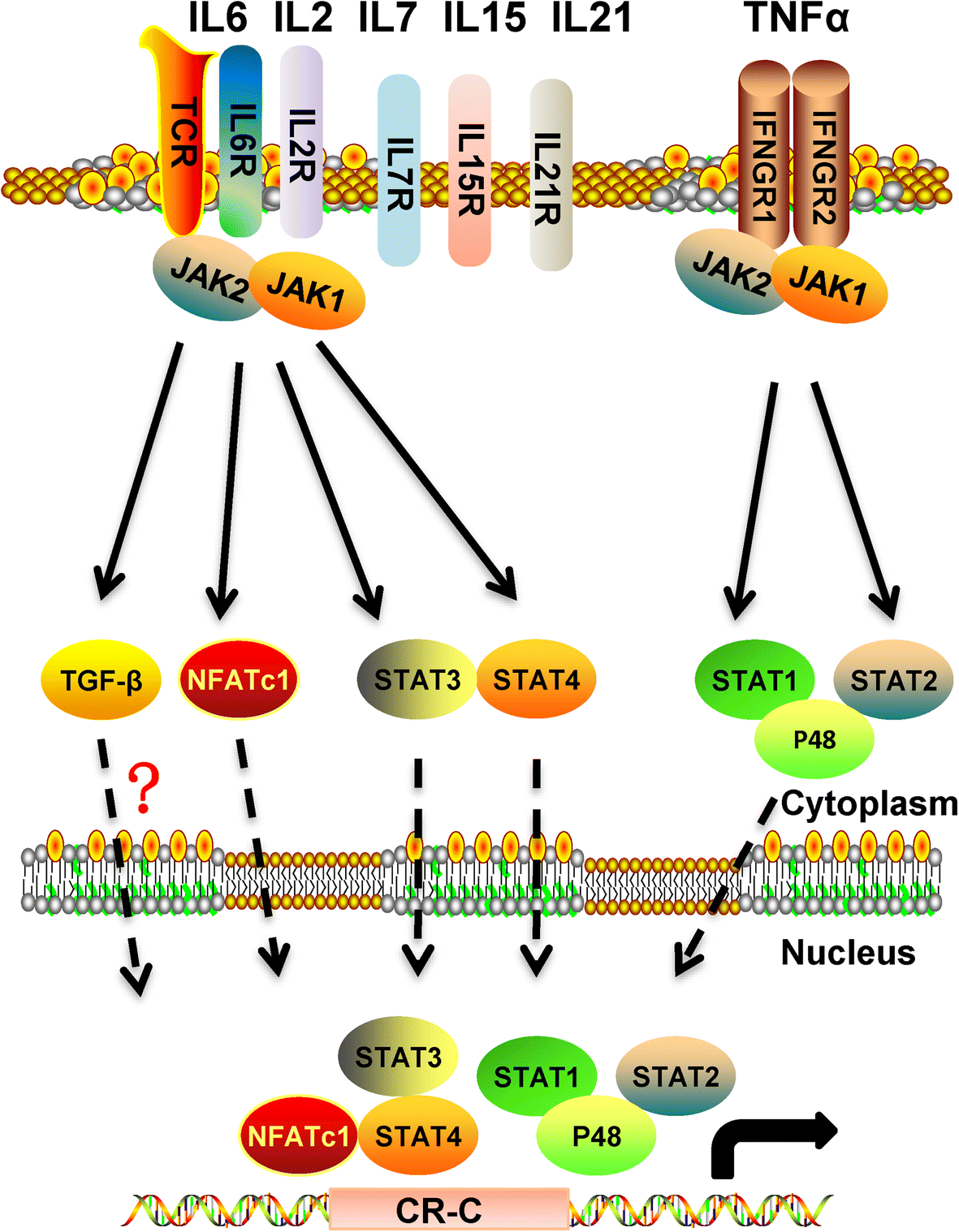 Fig. 3