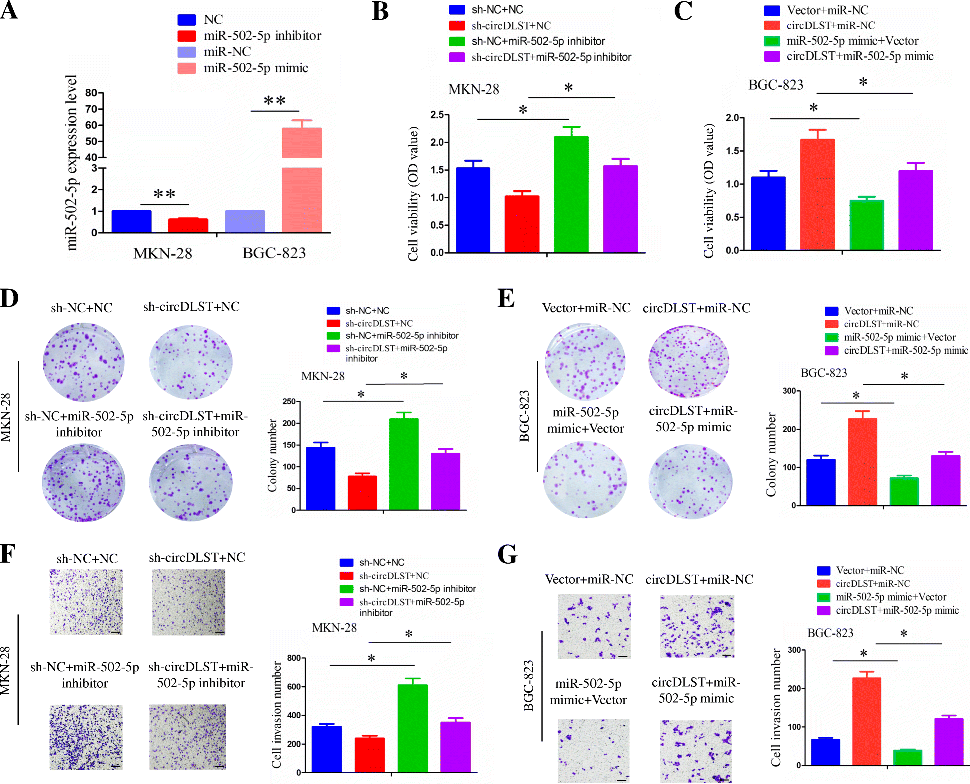 Fig. 7