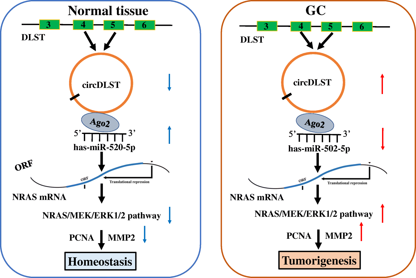 Fig. 9