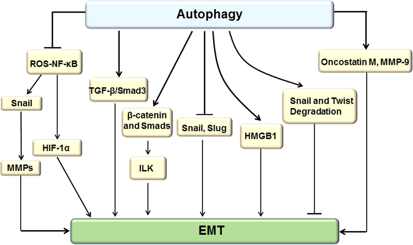 Fig. 10