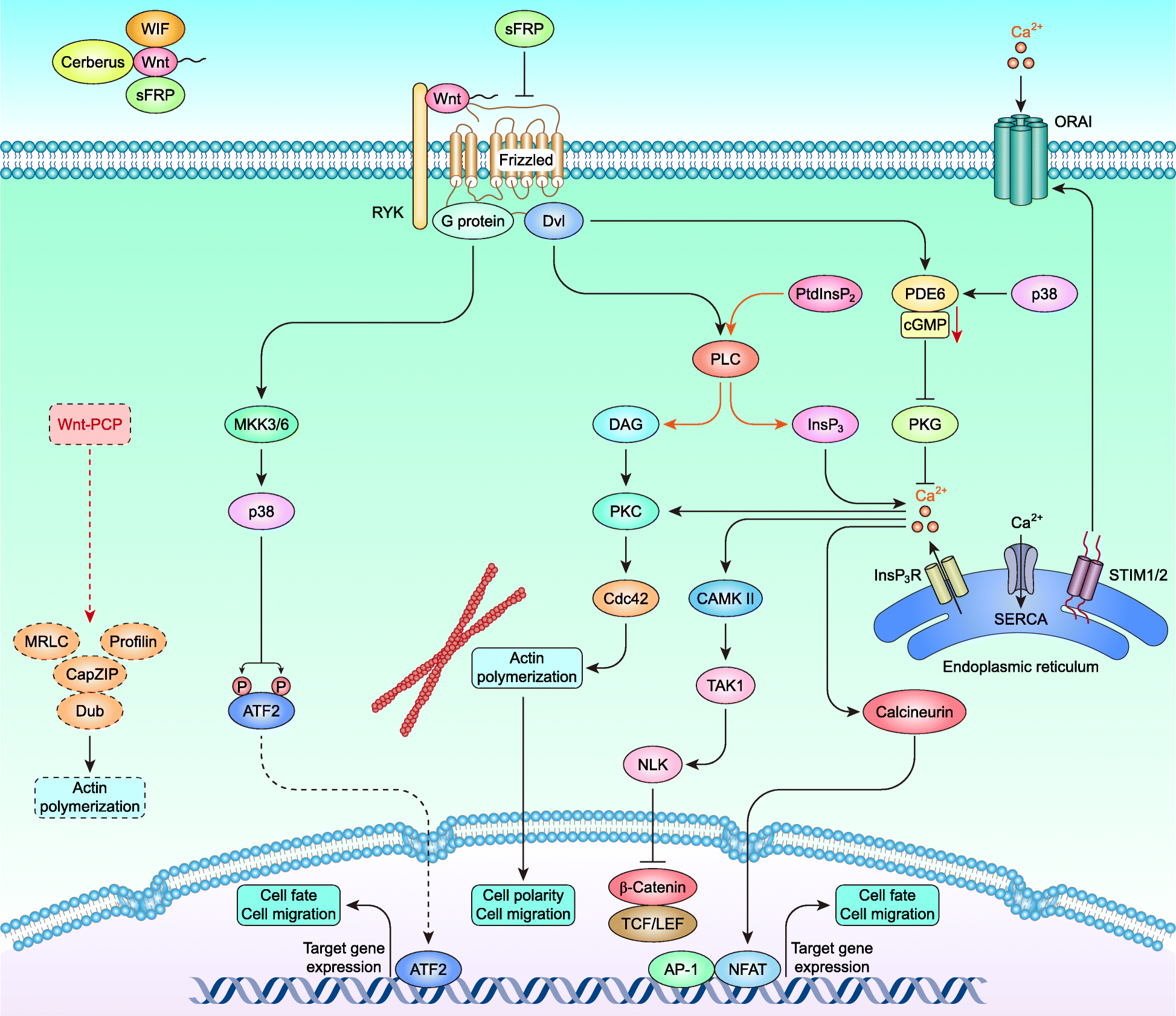 Fig. 3