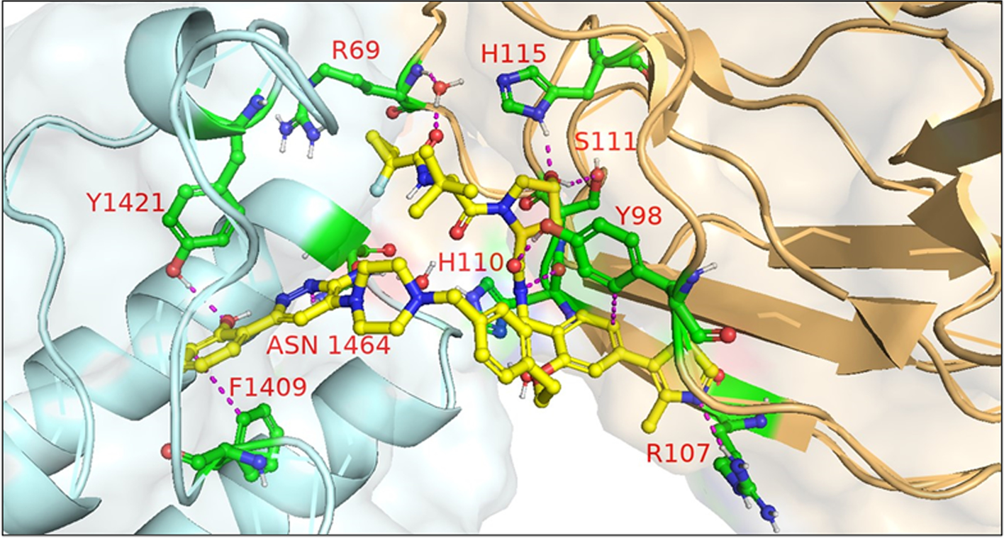 Fig. 23