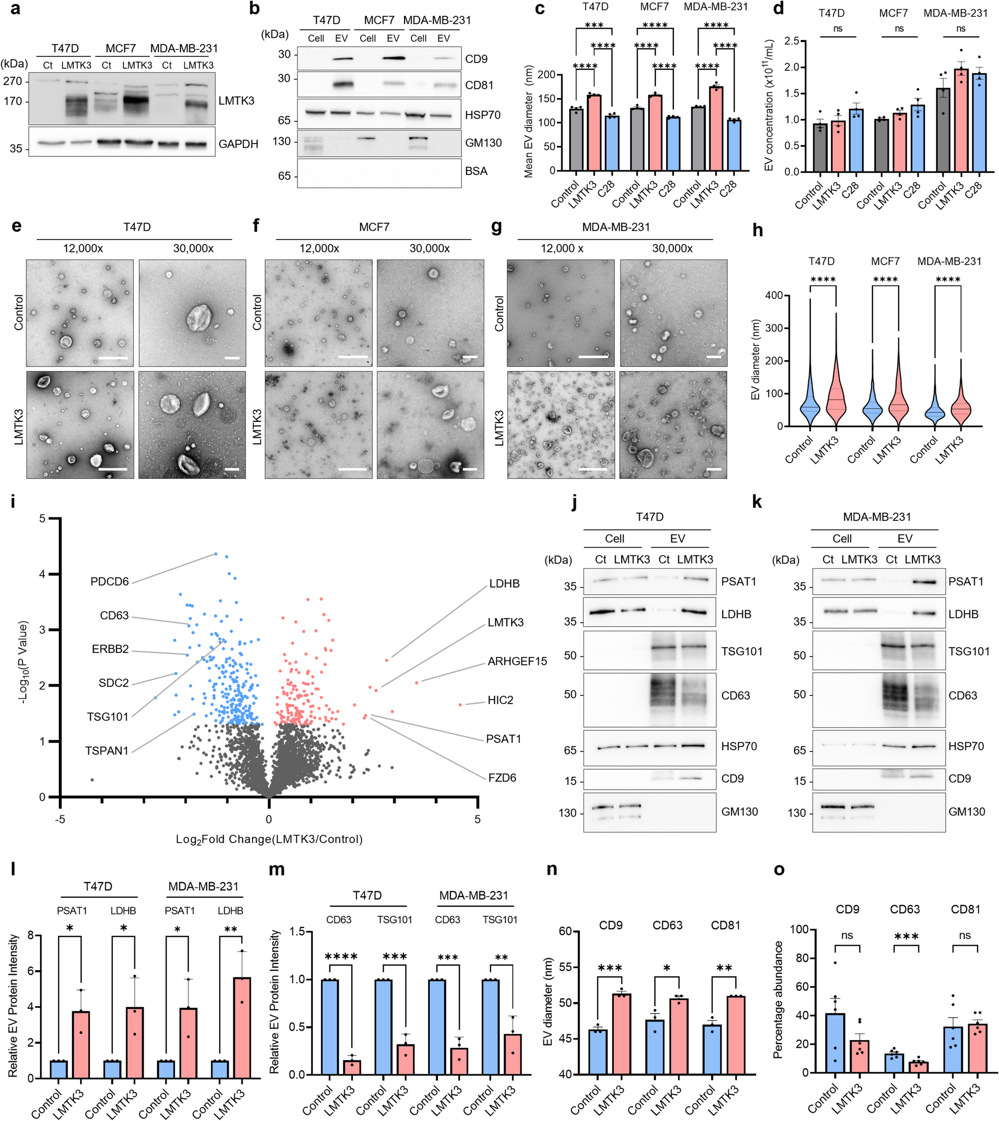 がん免疫療法を強化する「オフスイッチ」発見(Sussex Scientists Find ‘Off Switch’ That Could Turbo-Charge Cancer Immunotherapy)