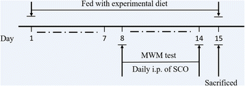 Fig. 5