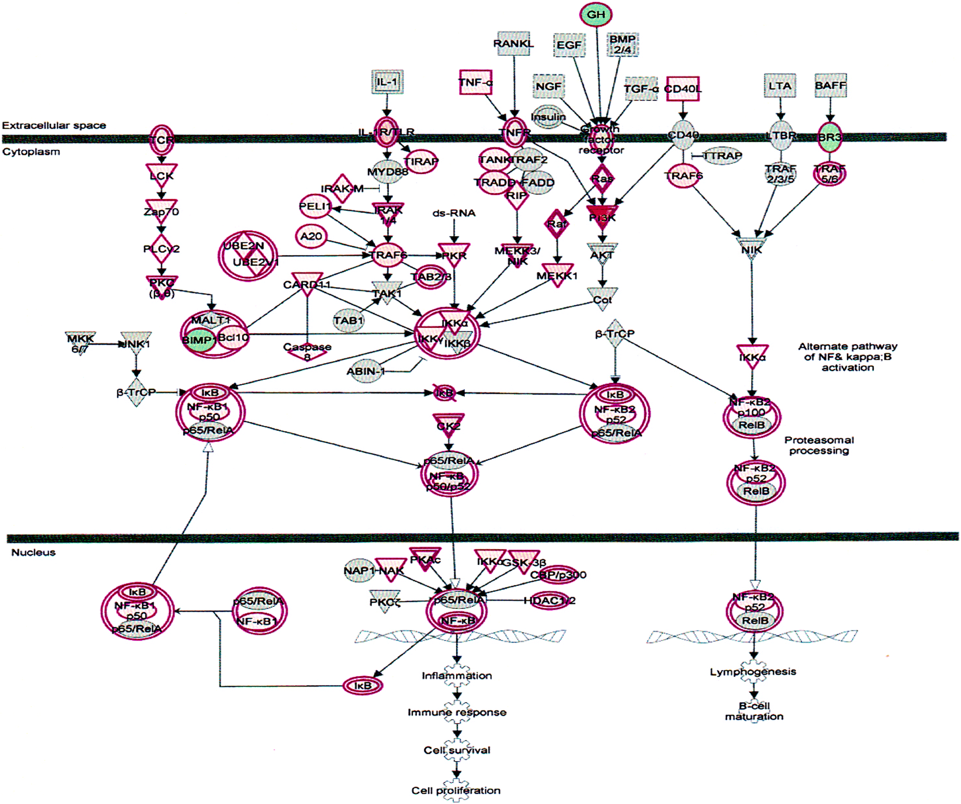 Fig. 7