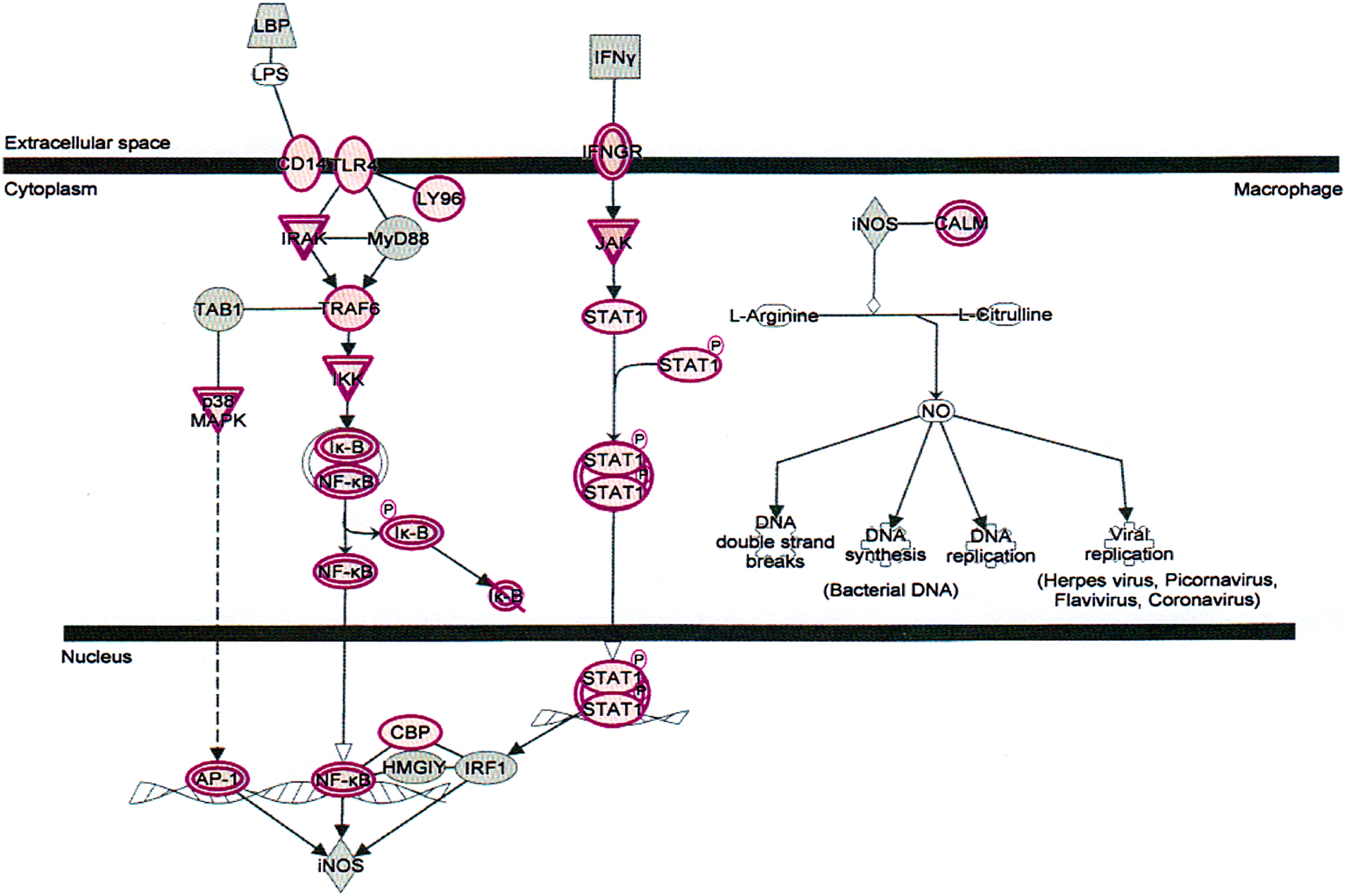 Fig. 9