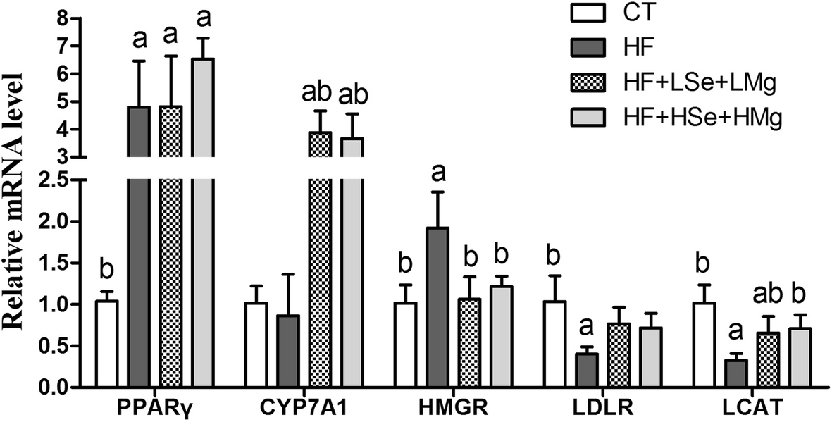 Fig. 6