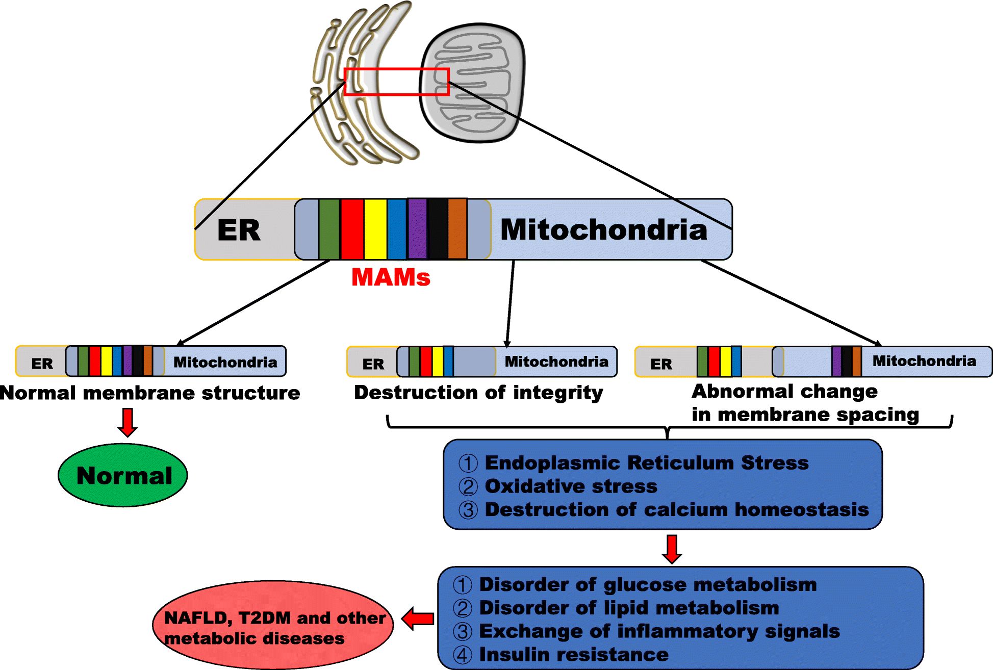 Fig. 2