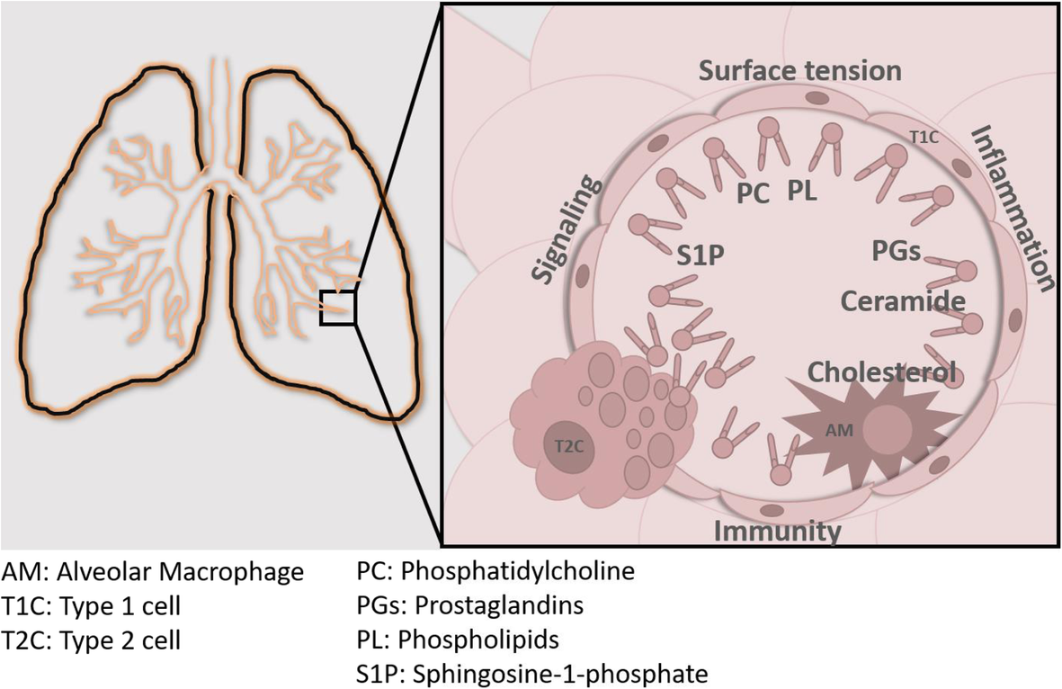 Fig. 2