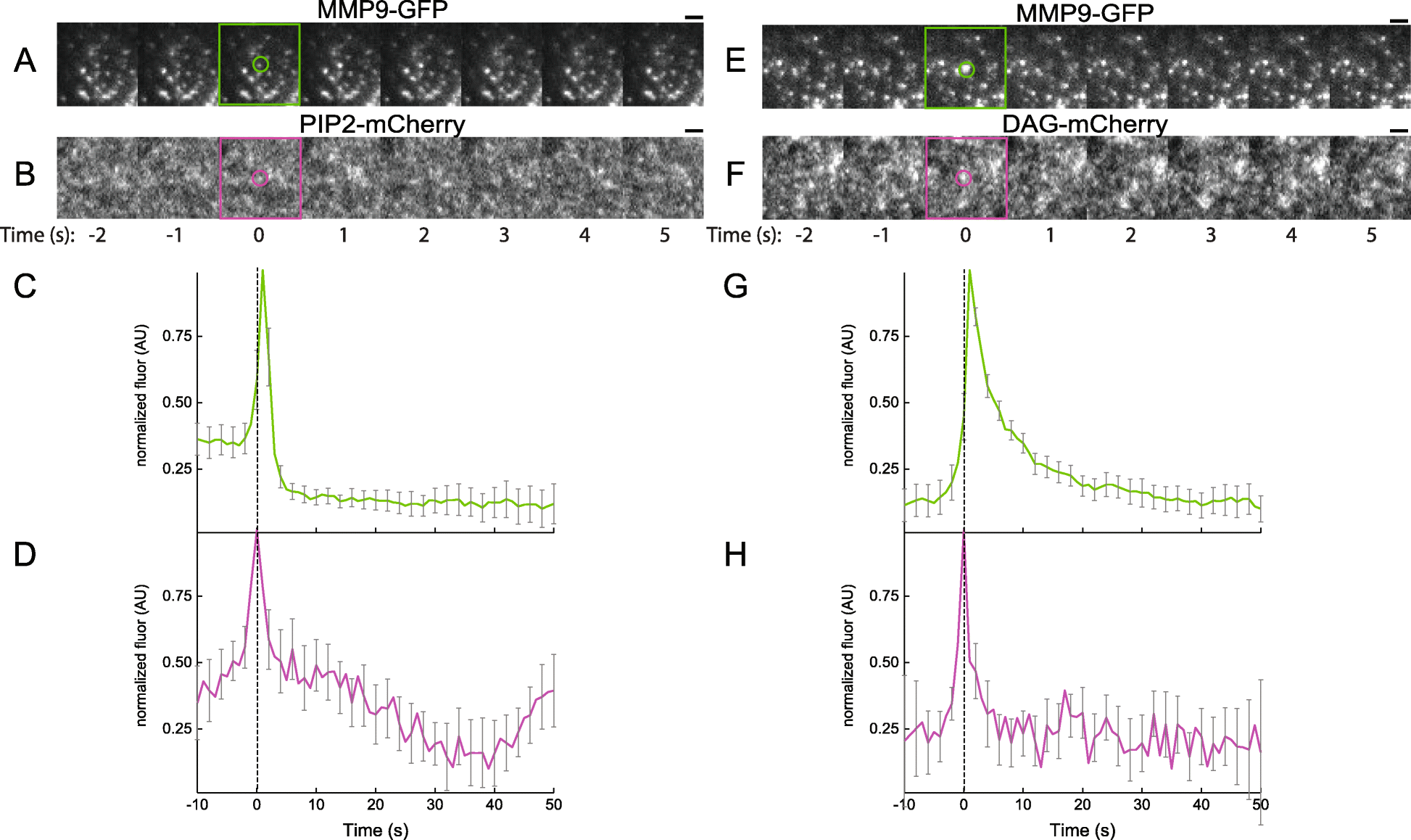 Fig. 2