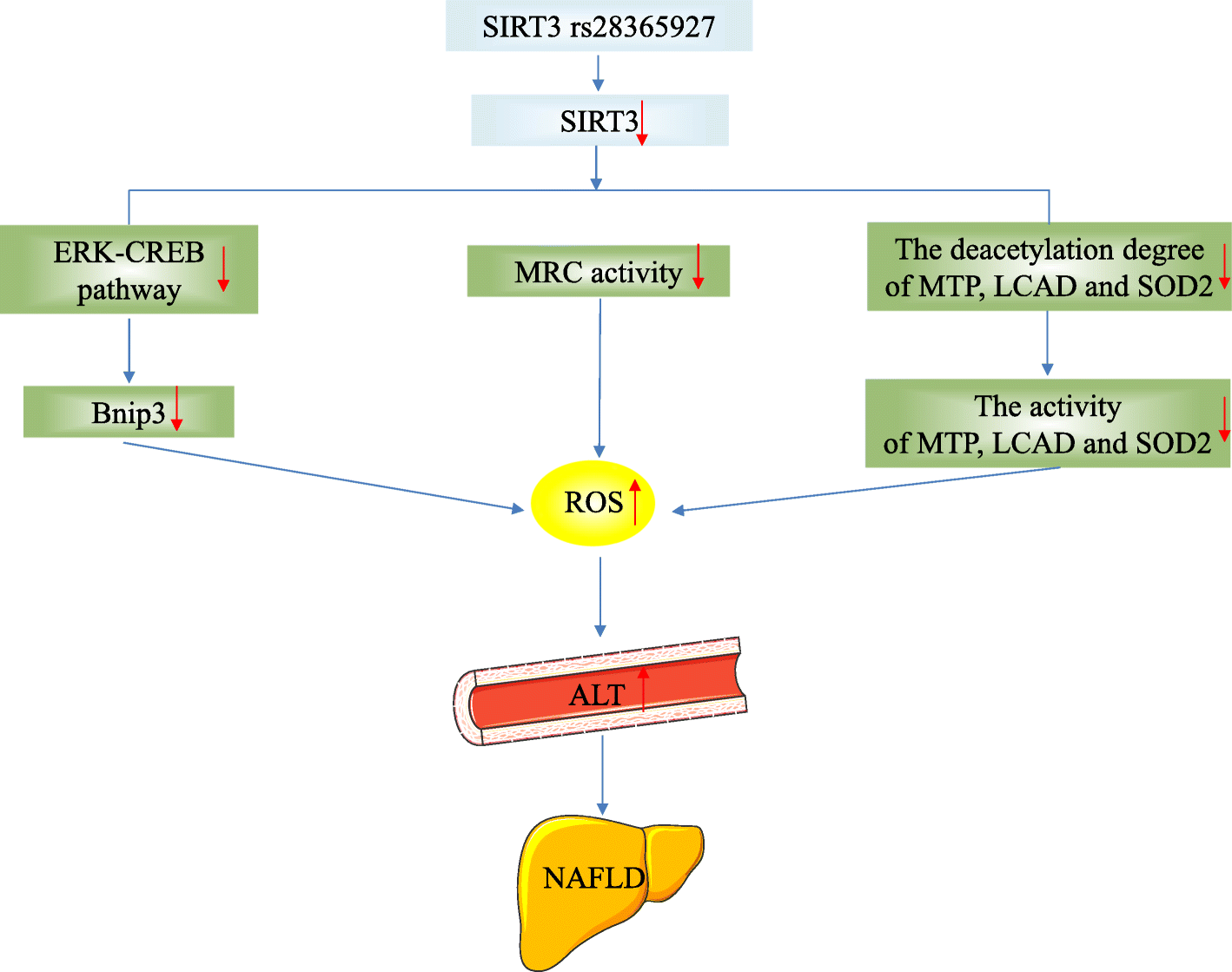 Fig. 5