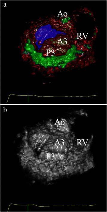 Fig. 9