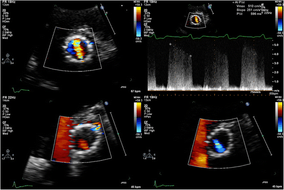 Fig. 8