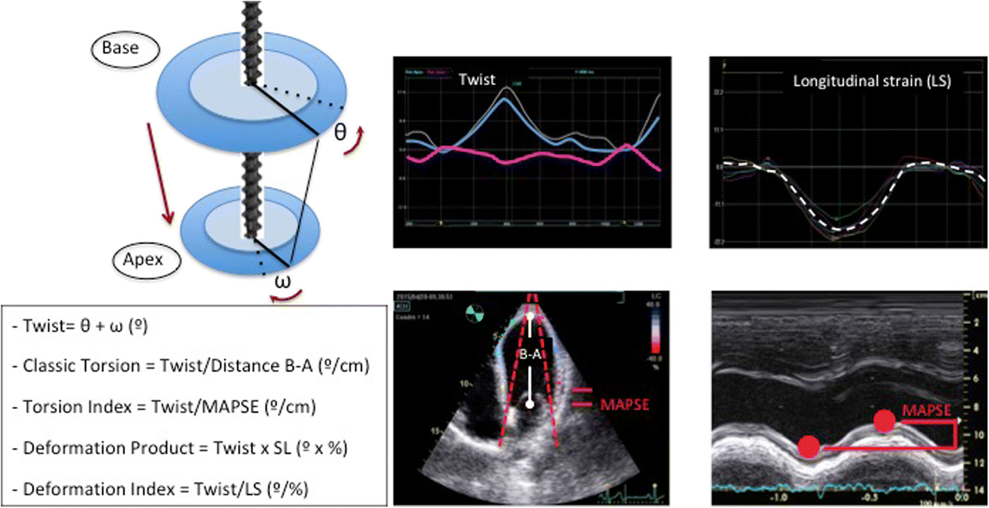 Comprehensive assessment of left ventricular myocardial function by two-dimensional speckle ...