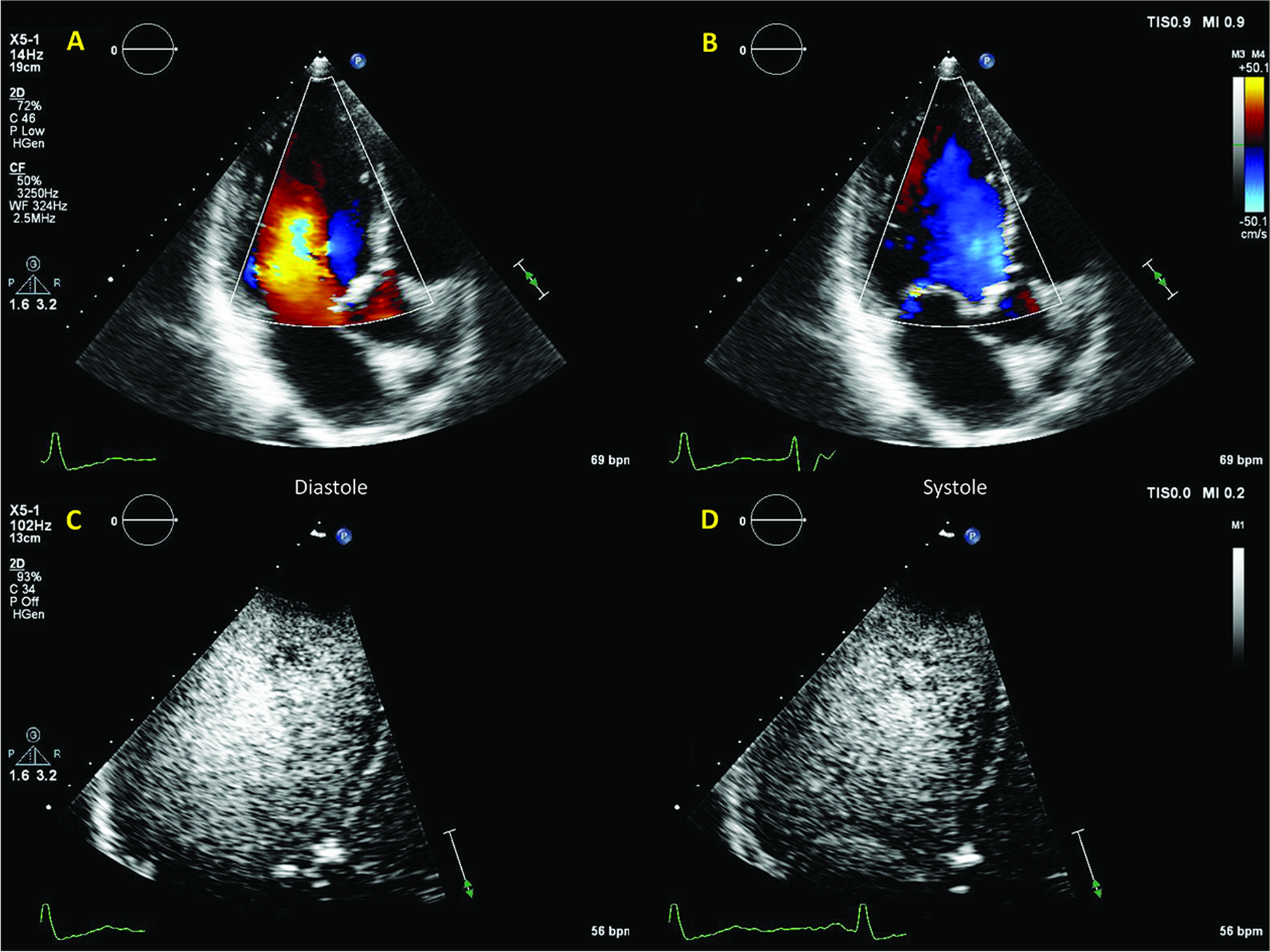 Fig. 10