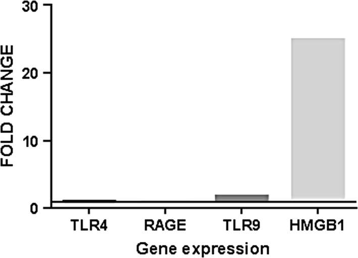 Fig. 1