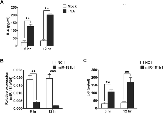 MicroRNA-181b regulates endotoxin tolerance by targeting IL-6 in macrophage  RAW264.7 cells | Journal of Inflammation | Full Text