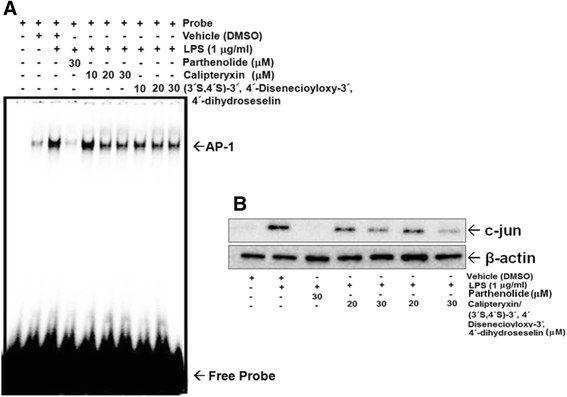 Fig. 9