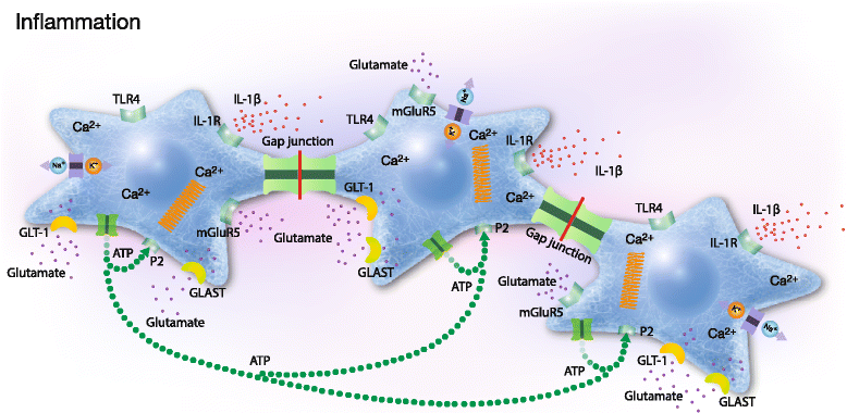 Fig. 3