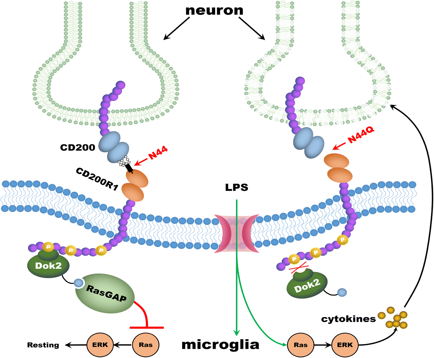 Fig. 6