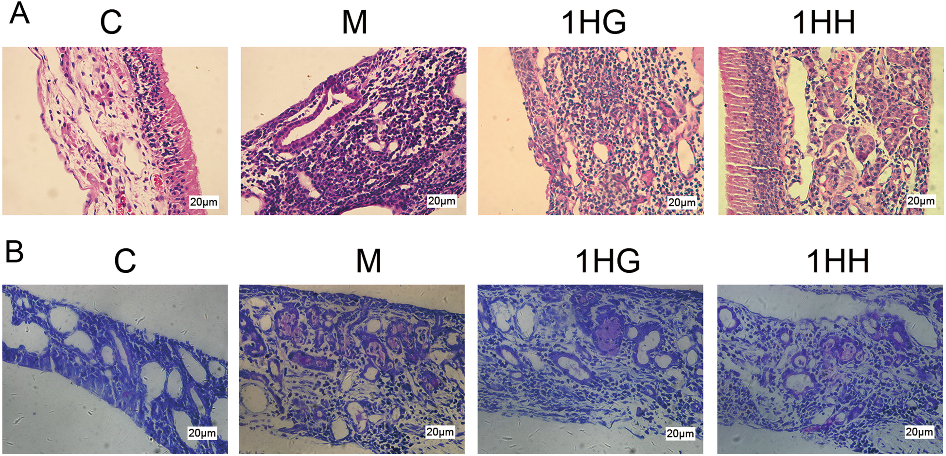 Fig. 6