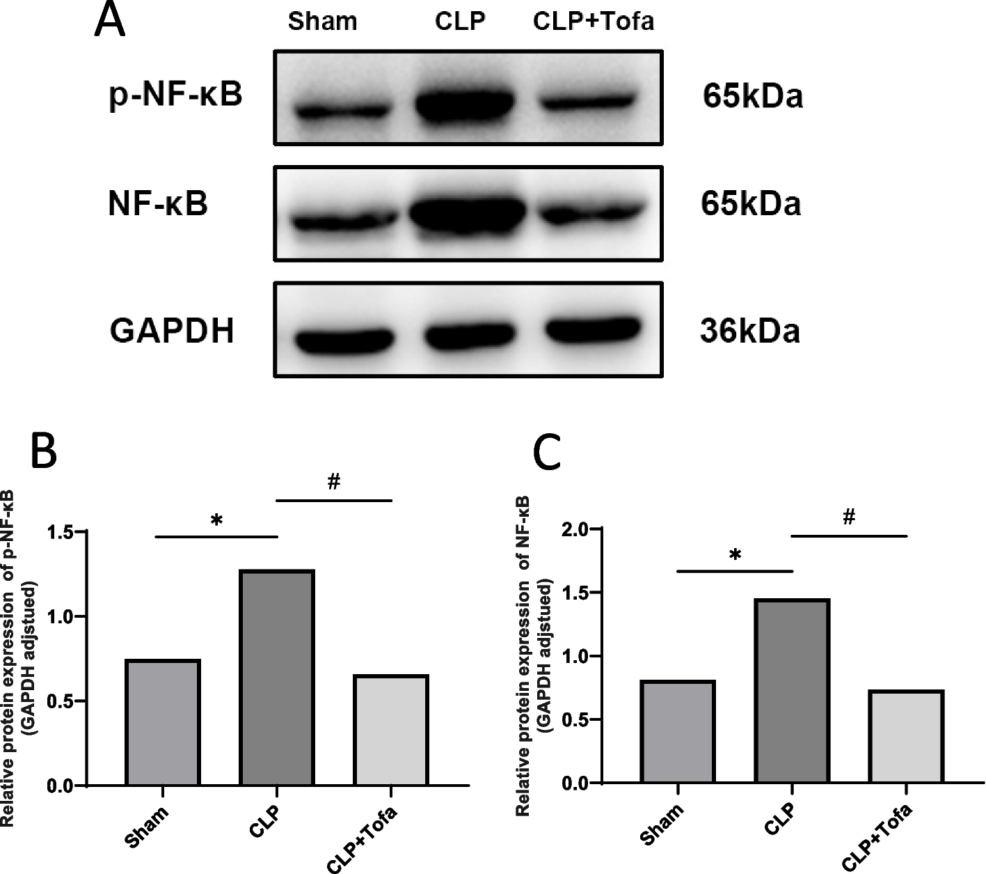 Fig. 6