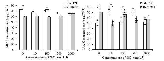 Figure 11