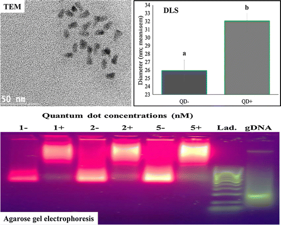 Figure 1