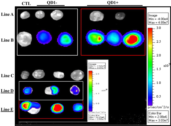 Figure 6