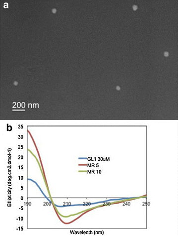 Figure 4