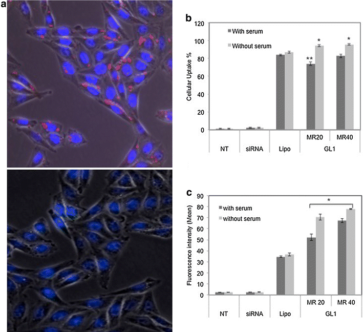 Figure 5