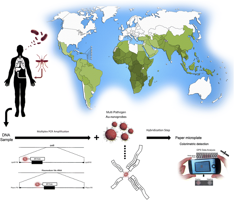 Fig. 1