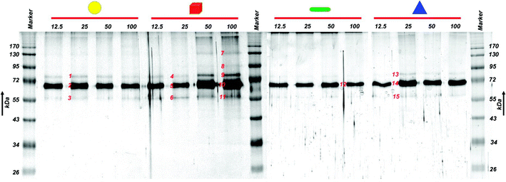 Fig. 7