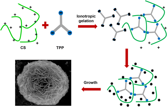 Fig. 4