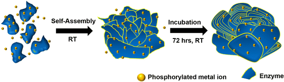 Fig. 8