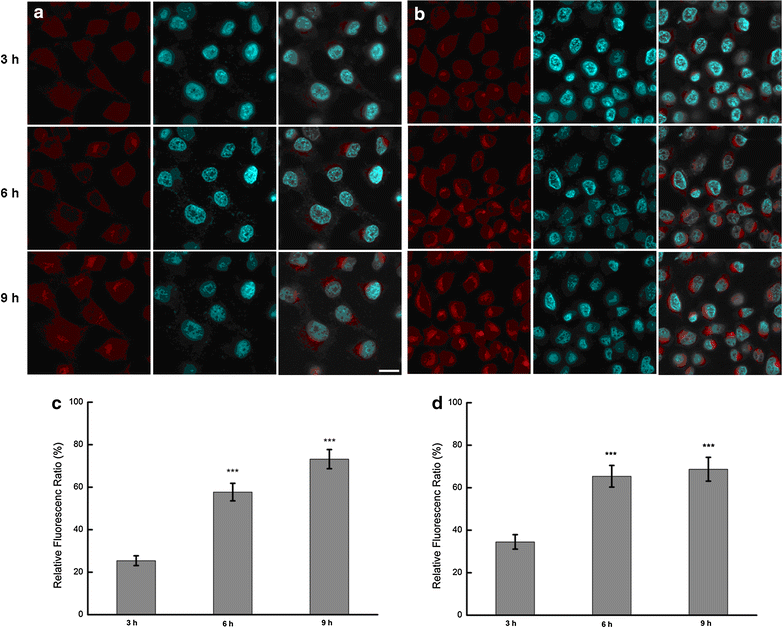 Fig. 2