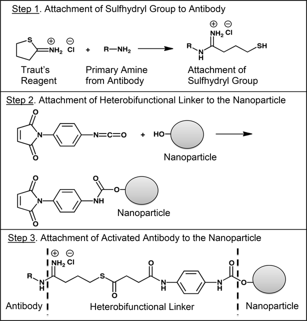 Fig. 8