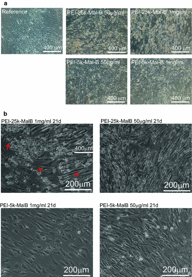 Fig. 9