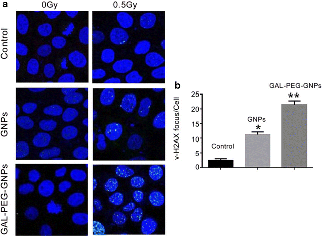 Fig. 8