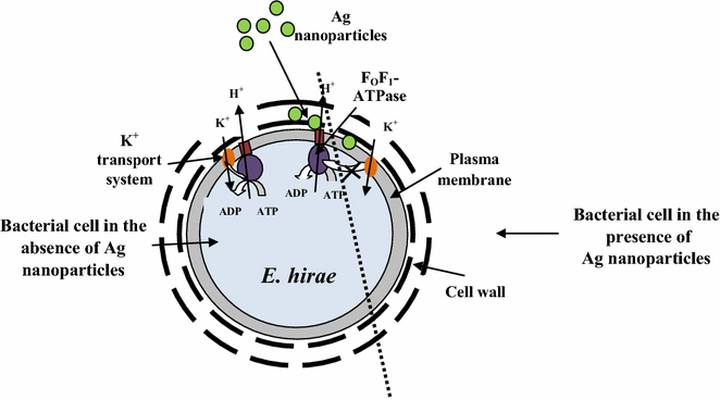 Fig. 4