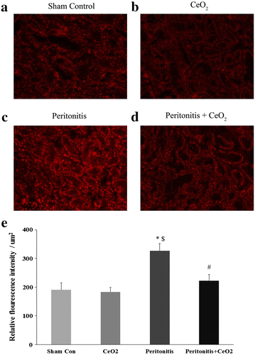 Fig. 4