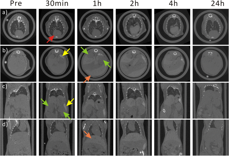 Fig. 5