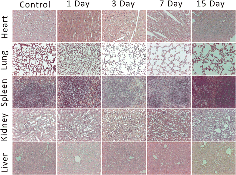 Fig. 8