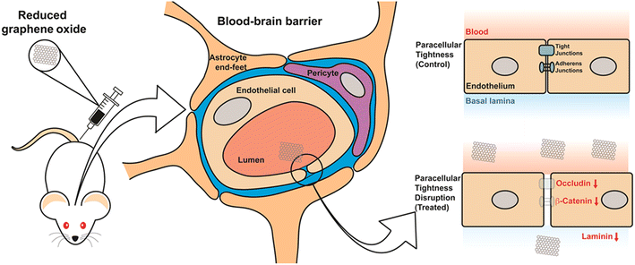 Fig. 8