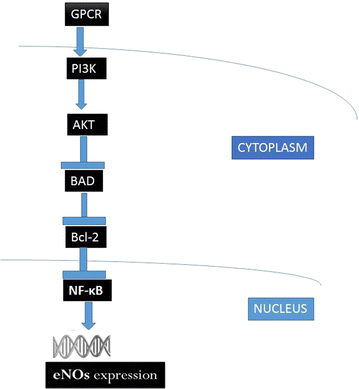 Fig. 7