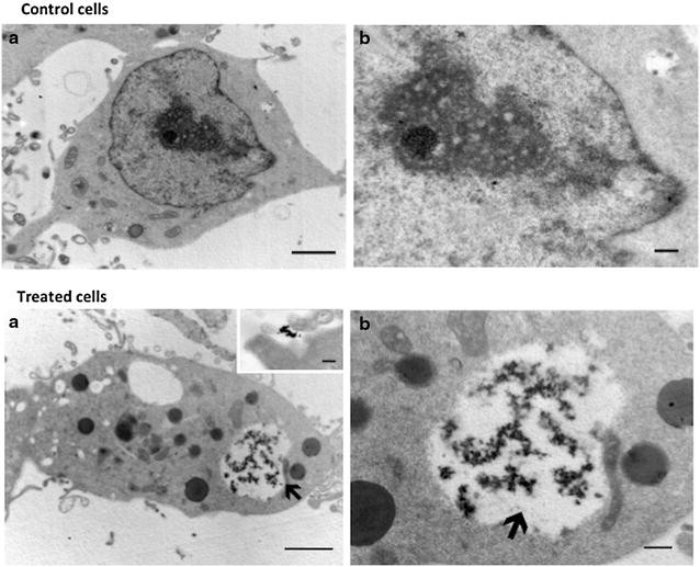 Fig. 6