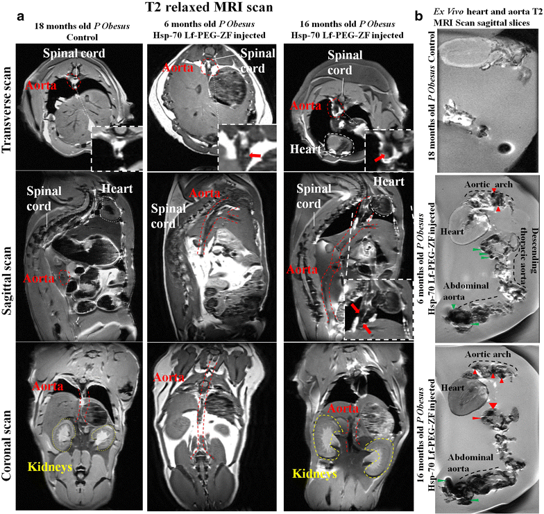 Fig. 3